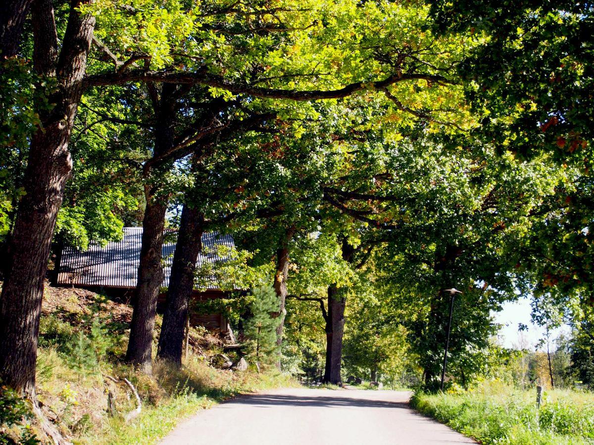 Bed and Breakfast Joensuun Tilan Paeaerakennus Soderkulla  Exterior foto